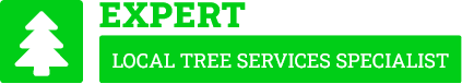Manawatu Tree Removal - Tree Removal Manawatu